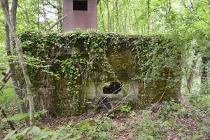 Ligne Maginot - GRUENDEL 4 - (Blockhaus pour canon) - Le créneau antichar et, au dessus à gauche, un second créneau d'usage non défini.