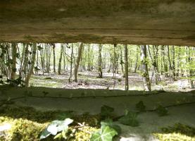 Ligne Maginot - GRUENDEL 1 - (Blockhaus pour arme infanterie) - 