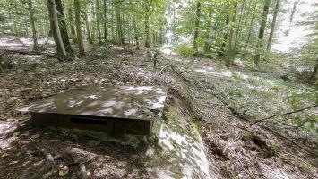Ligne Maginot - H5 - (Chambre de coupure) - La chambre aux abords du chemin forestier 