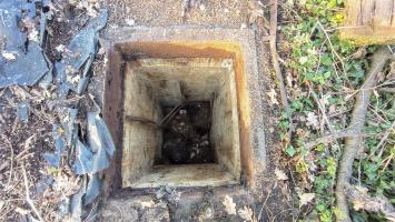 Ligne Maginot - H6 - (Chambre de coupure) - Le puits d'accès partiellement remblayé par des pavés en grès et en brique