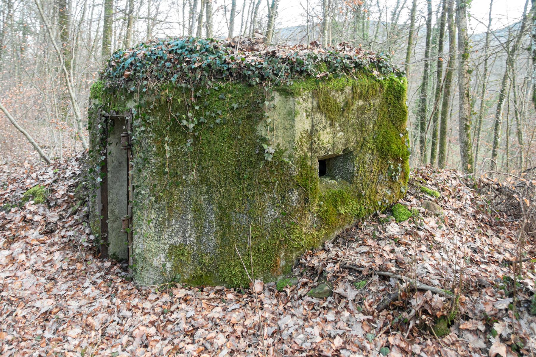 Ligne Maginot - FM18 - ROUTE DE LA VERRERIE 3 - (Blockhaus pour arme infanterie) - Entrée et créneau latéral droit de protection rapprochée - David Palmer