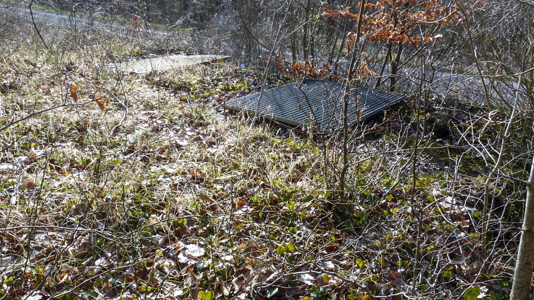 Ligne Maginot - 35M - (Chambre de coupure) - La chambre de coupure avec son accès obturé par une grille - Sylvie-Laure LAMBERT