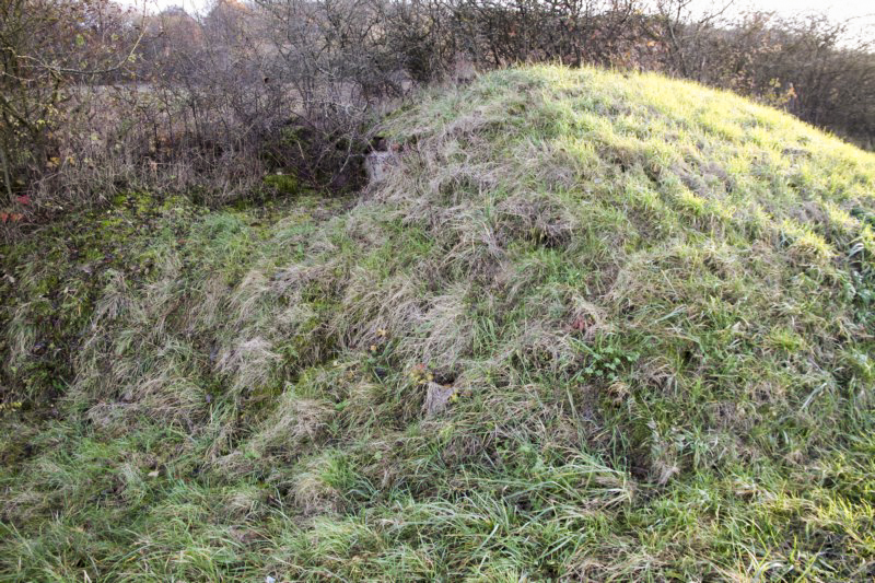 Ligne Maginot - A8 - (Abri) -  - Alain Perouffe