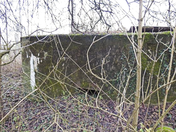 Ligne Maginot - Bb6-B - GEISMUHL 1 - (Blockhaus pour arme infanterie) - Créneau frontal
