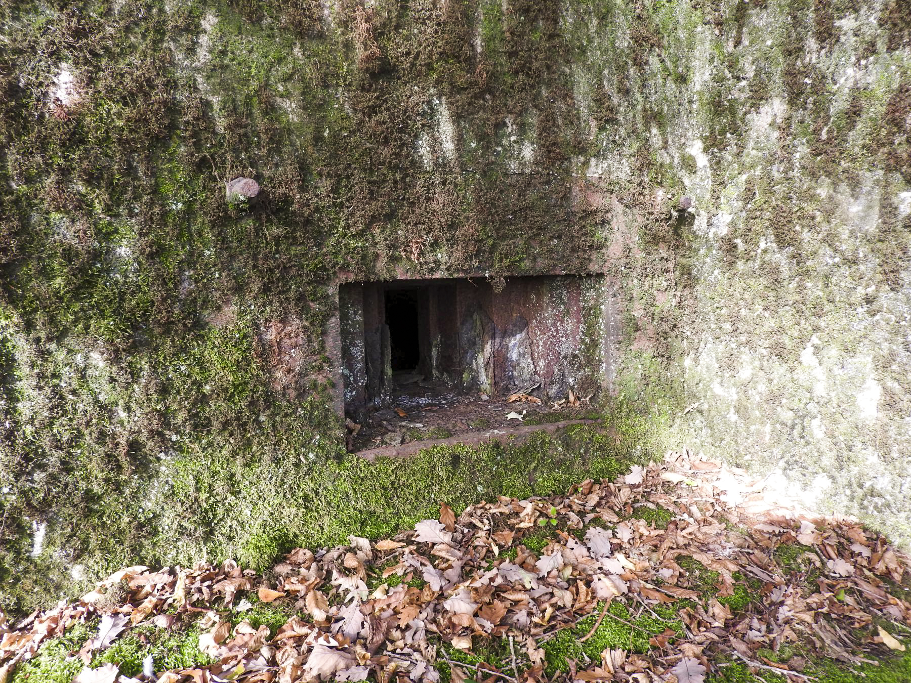 Ligne Maginot - BB35 - (Blockhaus pour arme infanterie) - L'embrasure pour mitrailleuse et la trémie Condé. - STENGER Mathieu