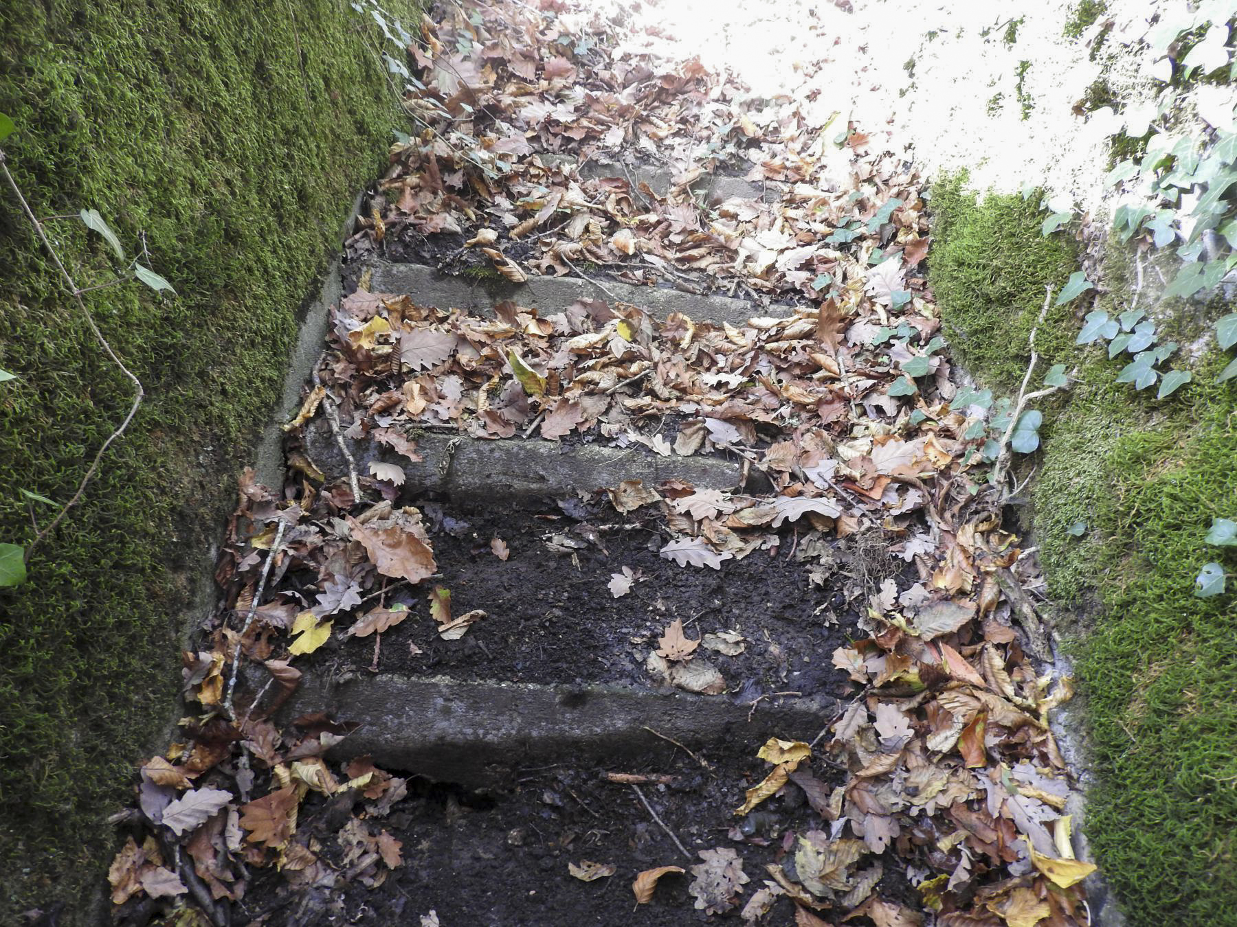 Ligne Maginot - BB35 - (Blockhaus pour arme infanterie) - On accède au blockhaus par un escalier en béton. - STENGER Mathieu