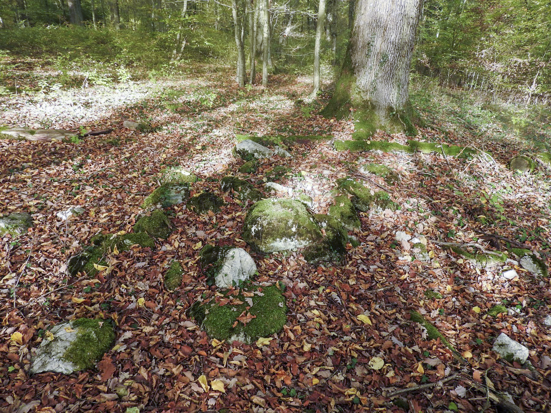 Ligne Maginot - BB35 - (Blockhaus pour arme infanterie) - Des sacs de ciment solidifiés près du blockhaus. - STENGER Mathieu