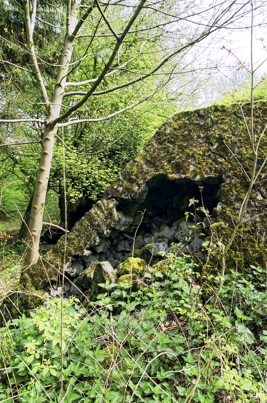 Ligne Maginot - BERENBACH - A26 - (Ouvrage d'infanterie) - Bloc 1
Le rocaille