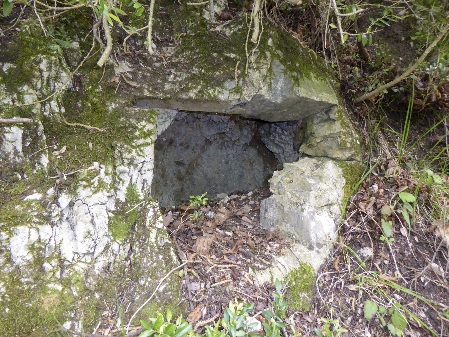 Ligne Maginot - CASTEL VIEIL - (Casernement) -  - ELLENA Daniel - CUNY Philippe