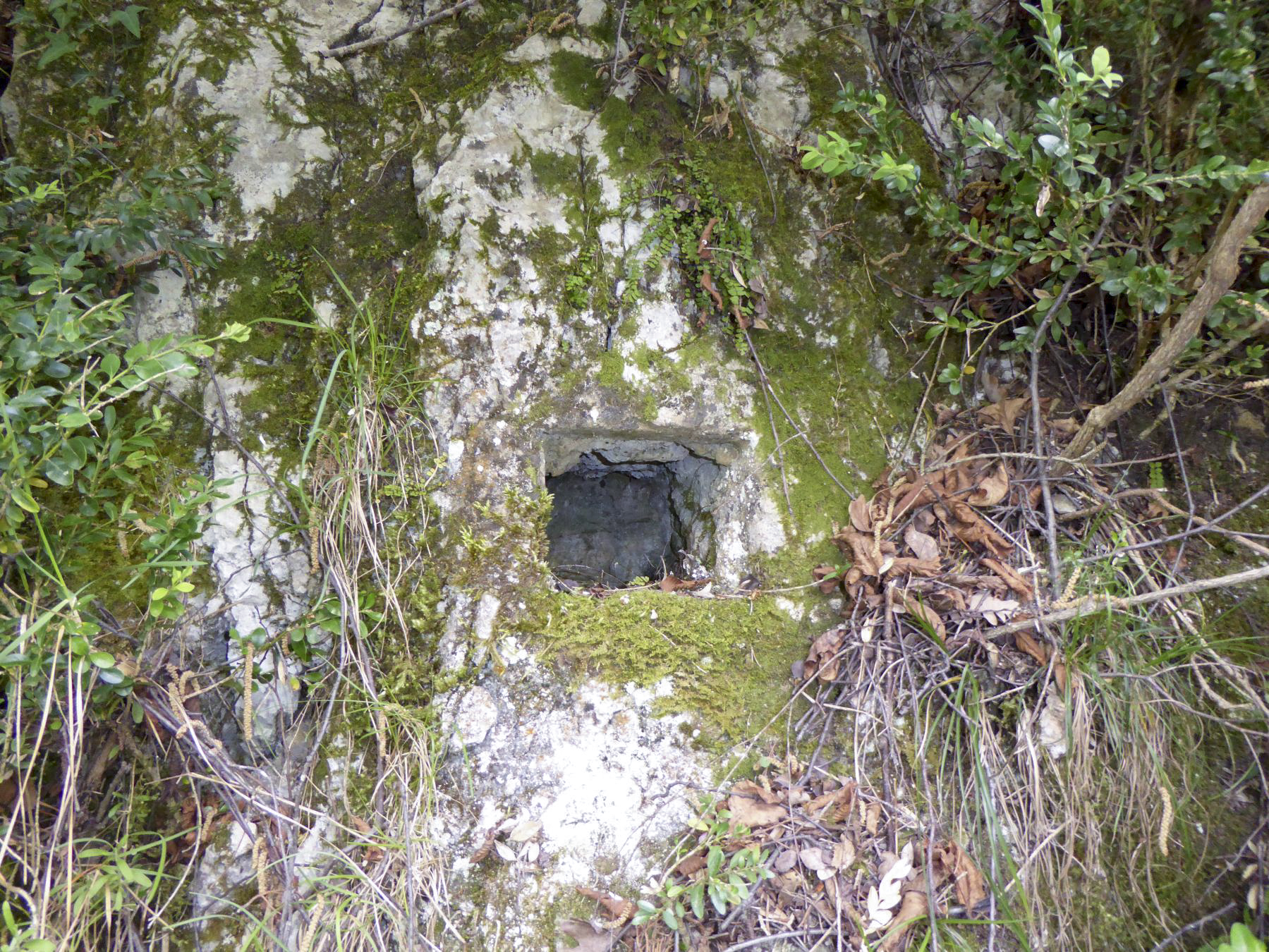 Ligne Maginot - CASTEL VIEIL - (Casernement) -  - ELLENA Daniel - CUNY Philippe