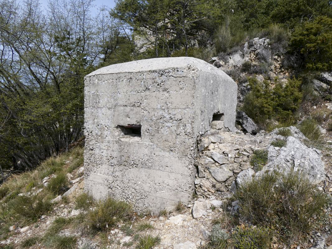 Ligne Maginot - BAISSE DE SCUVION 1 - (Blockhaus pour arme infanterie) -  - ELLENA - CUNY