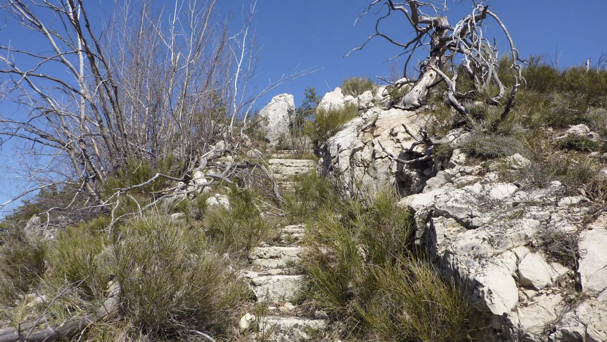 Ligne Maginot - BAISSE DE SCUVION - (Ouvrage d'infanterie) - L'escalier menant vers les blocs construits sur les dessus du piton rocheux