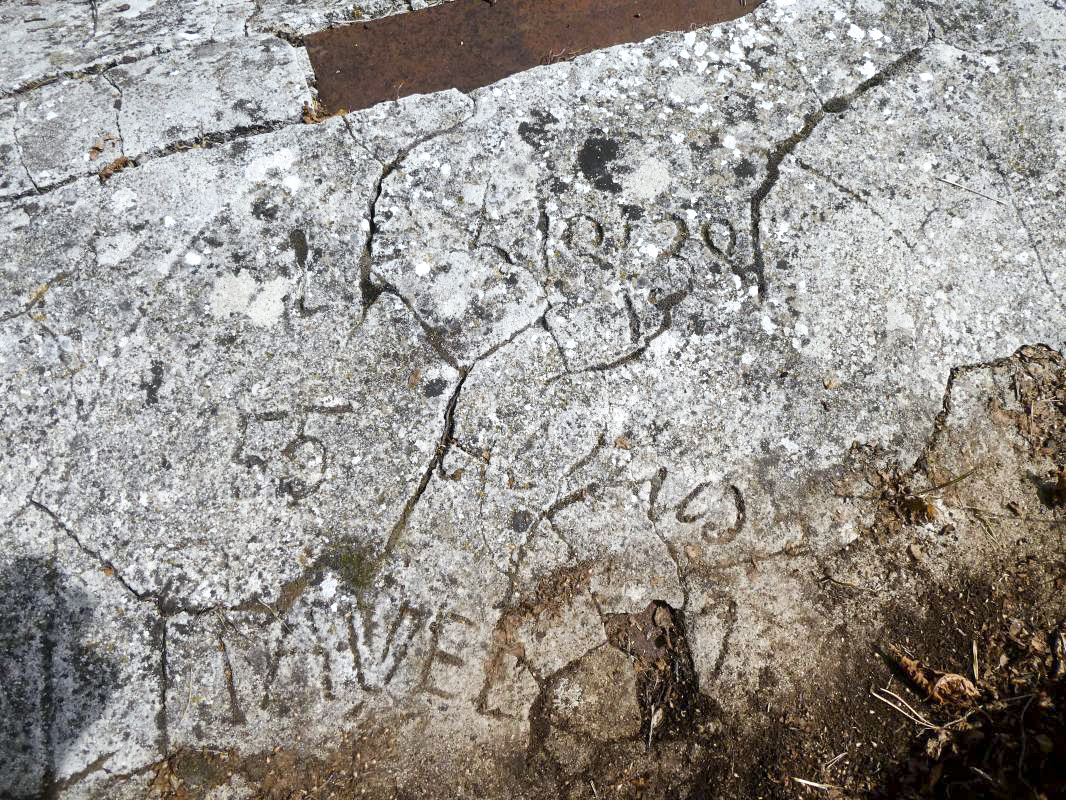 Ligne Maginot - BAISSE DE SCUVION 7 - (Abri) - Casernement (graffiti) - ELLENA - CUNY