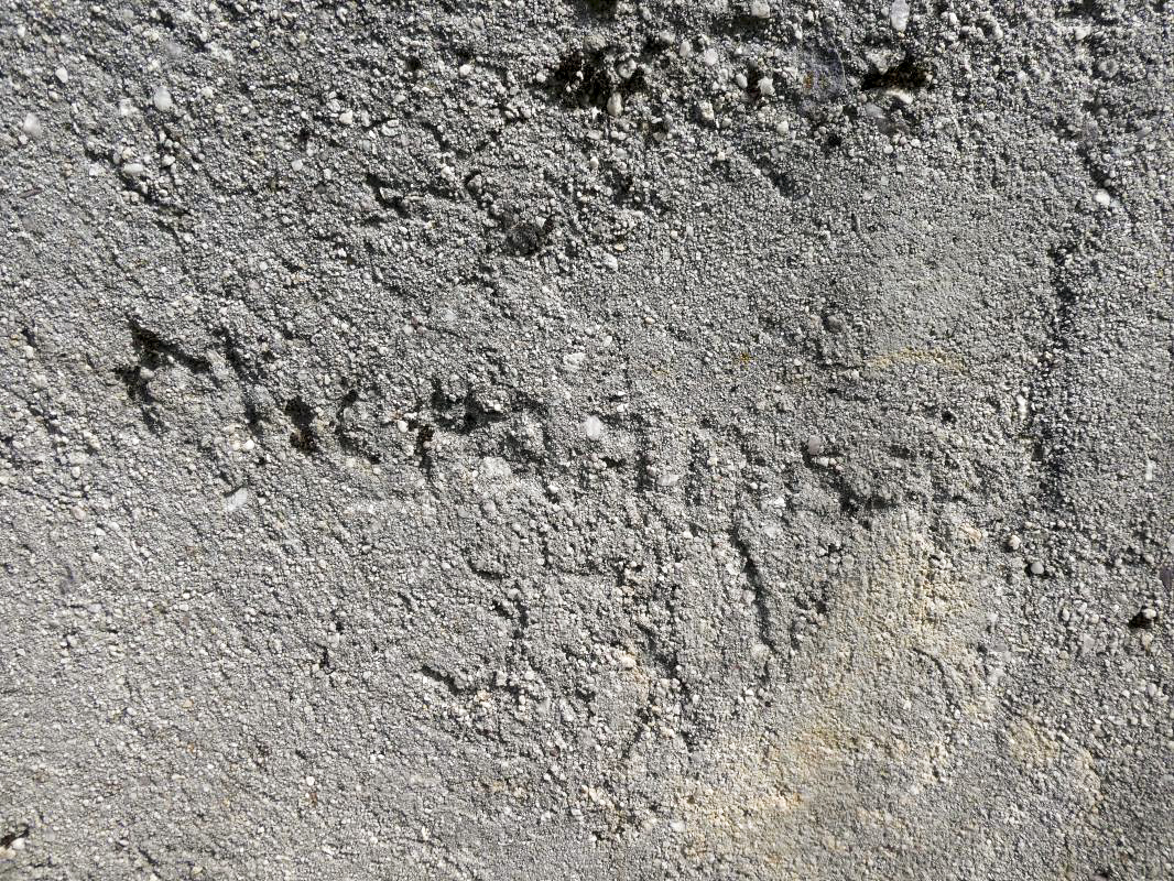 Ligne Maginot - BAISSE DE SCUVION 7 - (Abri) - Citerne (graffiti)