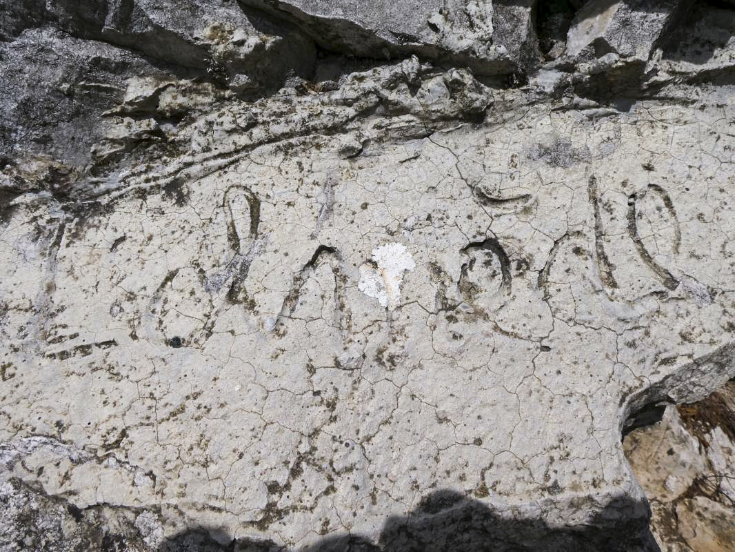 Ligne Maginot - BAISSE DE SCUVION 7 - (Abri) - Citerne (graffiti)