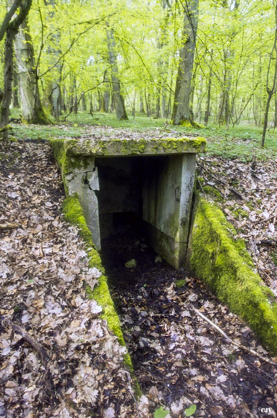 Ligne Maginot - BERENBACH - A26 - (Ouvrage d'infanterie) - Près du bloc 1
Niche - Lia VERMEULEN