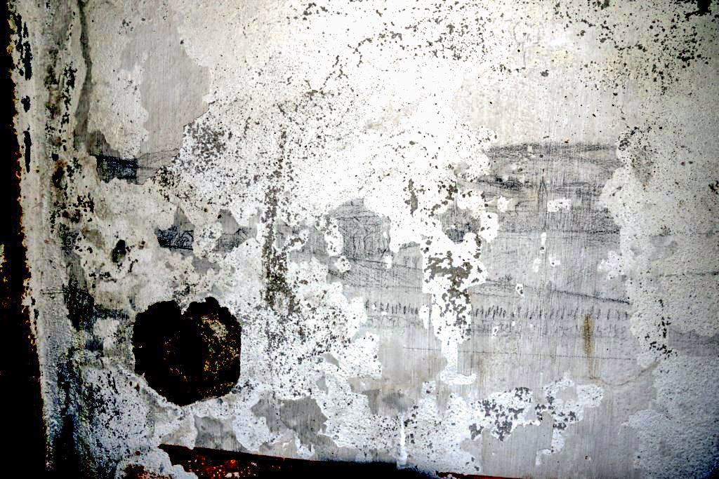 Ligne Maginot - BERENBACH - A26 - (Ouvrage d'infanterie) - Chambre de tir.
Les restes du panorama - Alain Perouffe