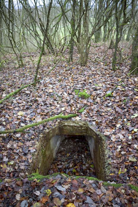 Ligne Maginot - GALBERG - (Observatoire d'artillerie) - Observatoire - poste d'observation