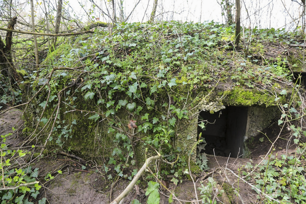 Ligne Maginot - GEISMUHL 3 - (Abri) - Le créneau - Alain Perouffe