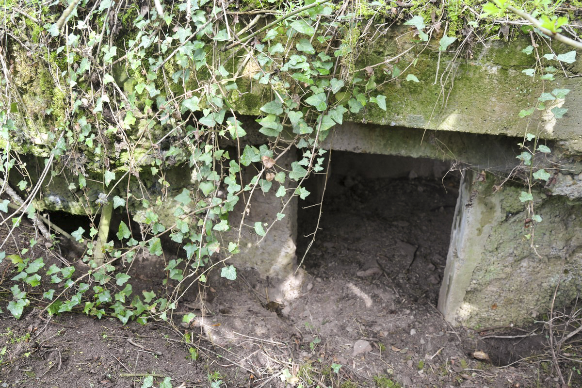 Ligne Maginot - GEISMUHL 3 - (Abri) - L'entrée
 - Alain Perouffe