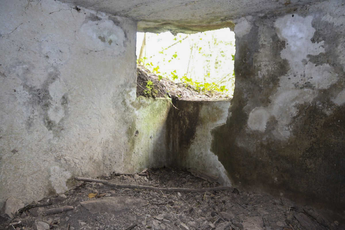 Ligne Maginot - GEISMUHL 3 - (Abri) - Créneau - Alain Perouffe