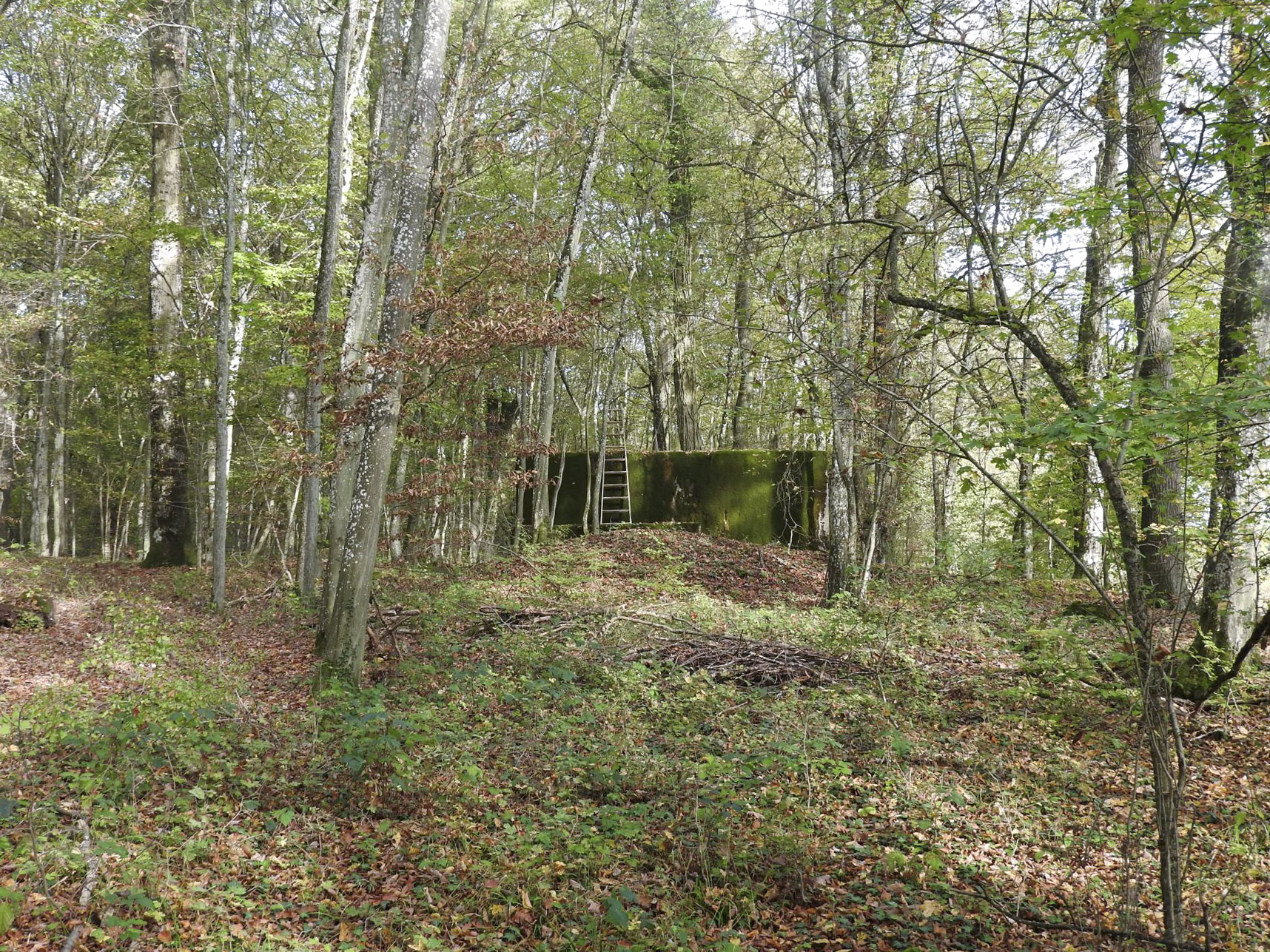 Ligne Maginot - KAISERWALD - (Blockhaus pour canon) -  - STENGER Mathieu