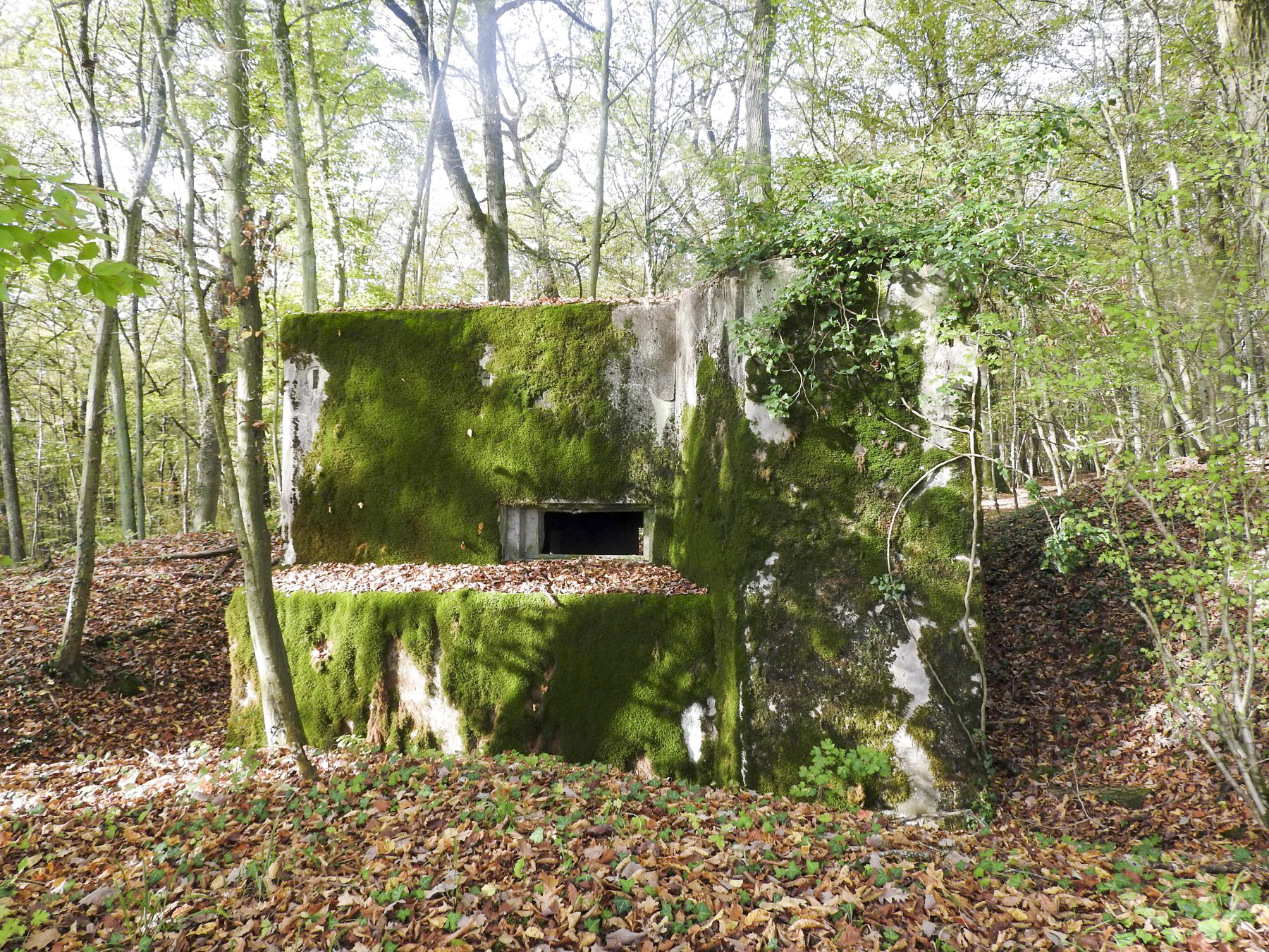 Ligne Maginot - KAISERWALD - (Blockhaus pour canon) - La façade de tir vers l'Est. - STENGER Mathieu