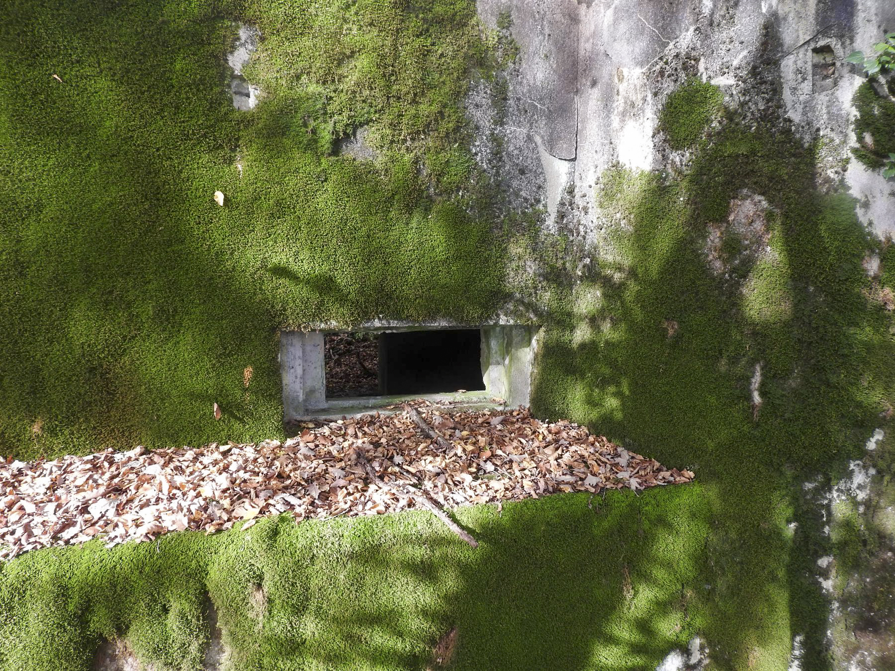 Ligne Maginot - KAISERWALD - (Blockhaus pour canon) - L'embrasure pour le canon anti-char. - STENGER Mathieu