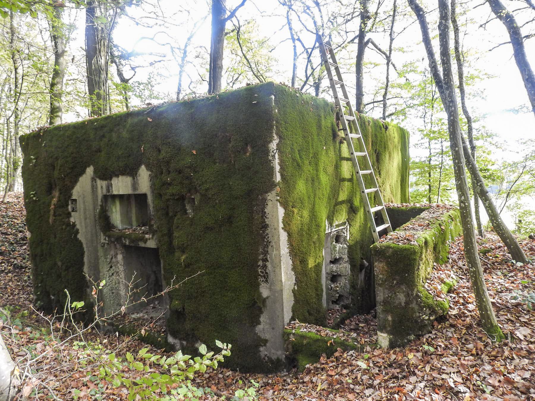 Ligne Maginot - KAISERWALD - (Blockhaus pour canon) - L'arrière du blockhaus avec les deux entrées. - STENGER Mathieu