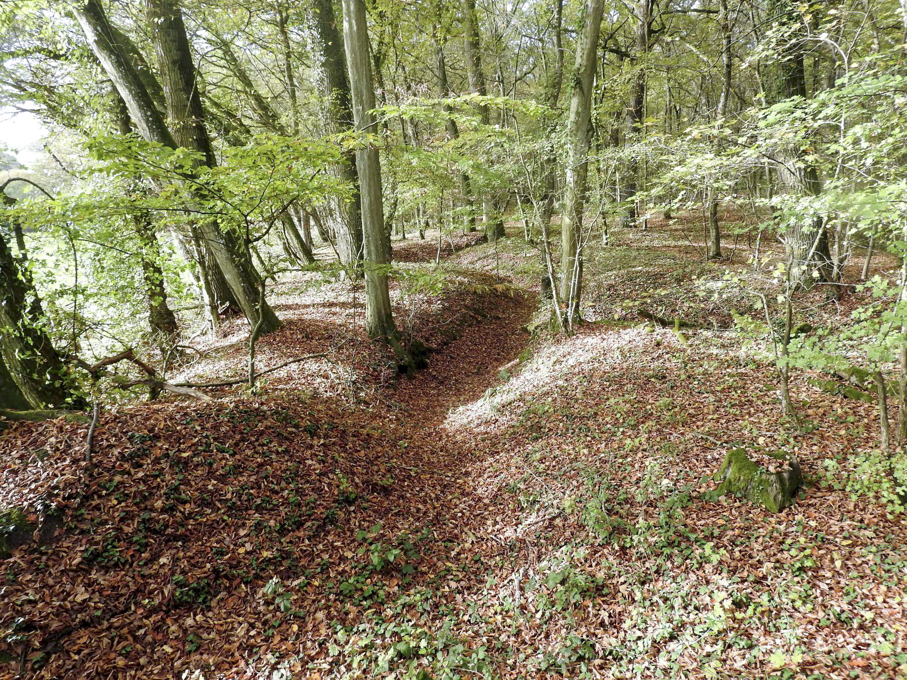 Ligne Maginot - KAISERWALD - (Blockhaus pour canon) - Le réseau de tranchées à proximité du blockhaus. - STENGER Mathieu