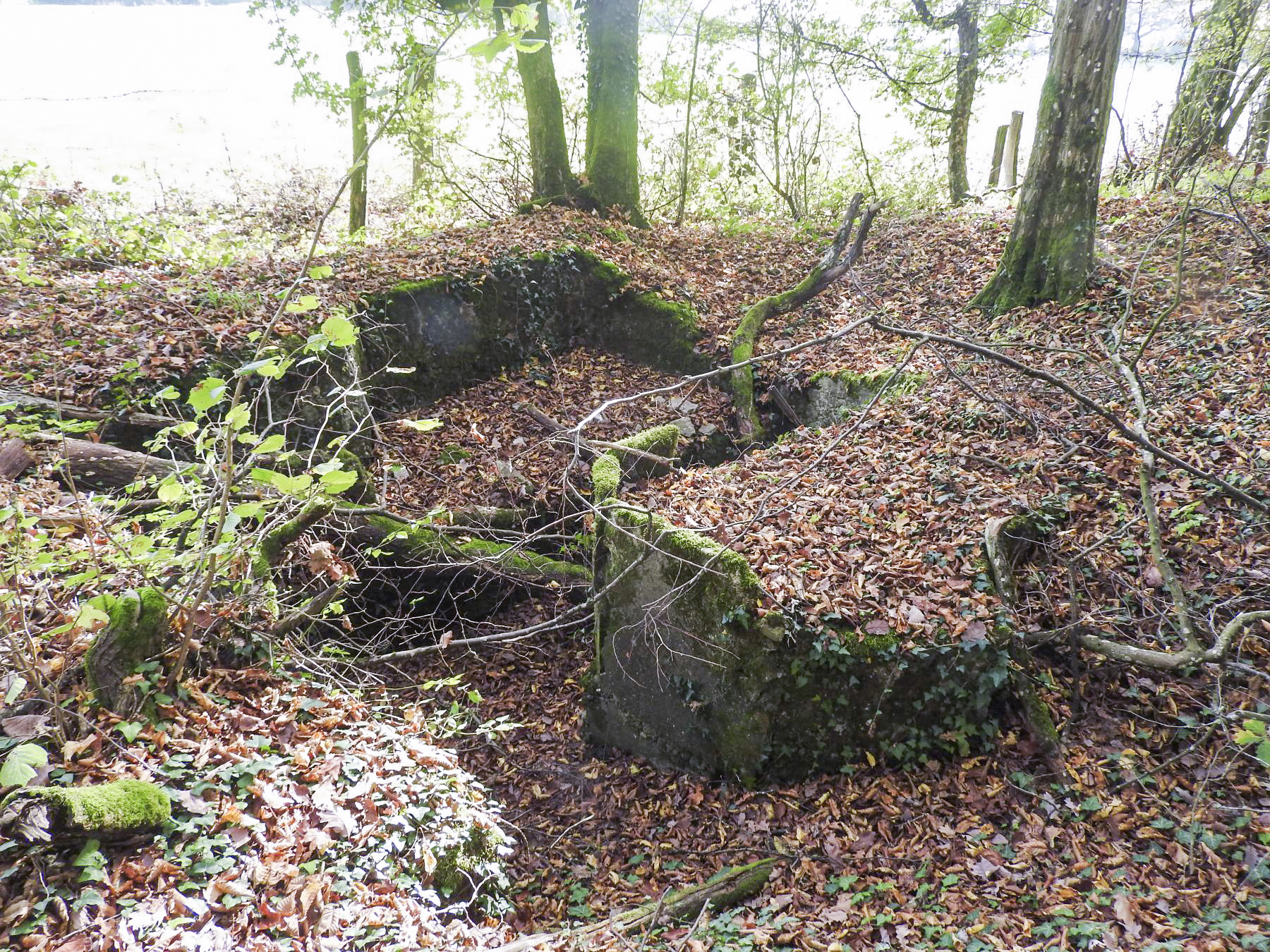 Ligne Maginot - KAISERWALD 2 - (Cuve pour arme d'infanterie) - Les restes de la cuve d'infanterie. - STENGER Mathieu