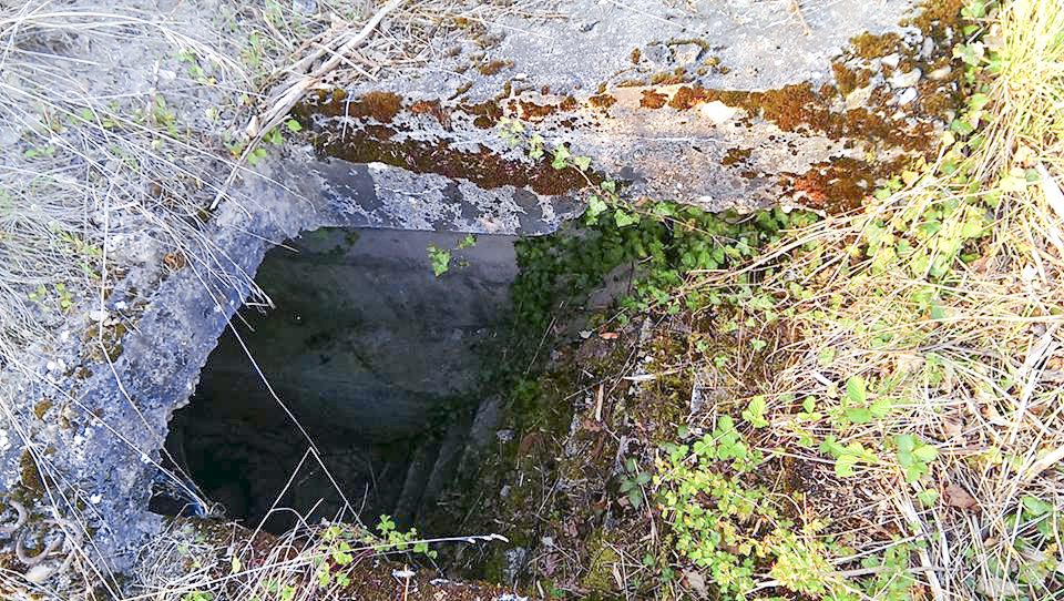 Ligne Maginot - NEUENBERG - (Observatoire indéterminé) - L'entree