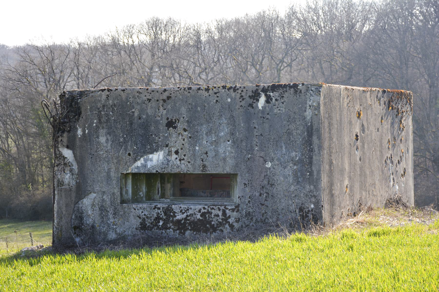 Ligne Maginot - VEILLERBERG - (Blockhaus pour canon) - Vue d'ensemble du blockhaus