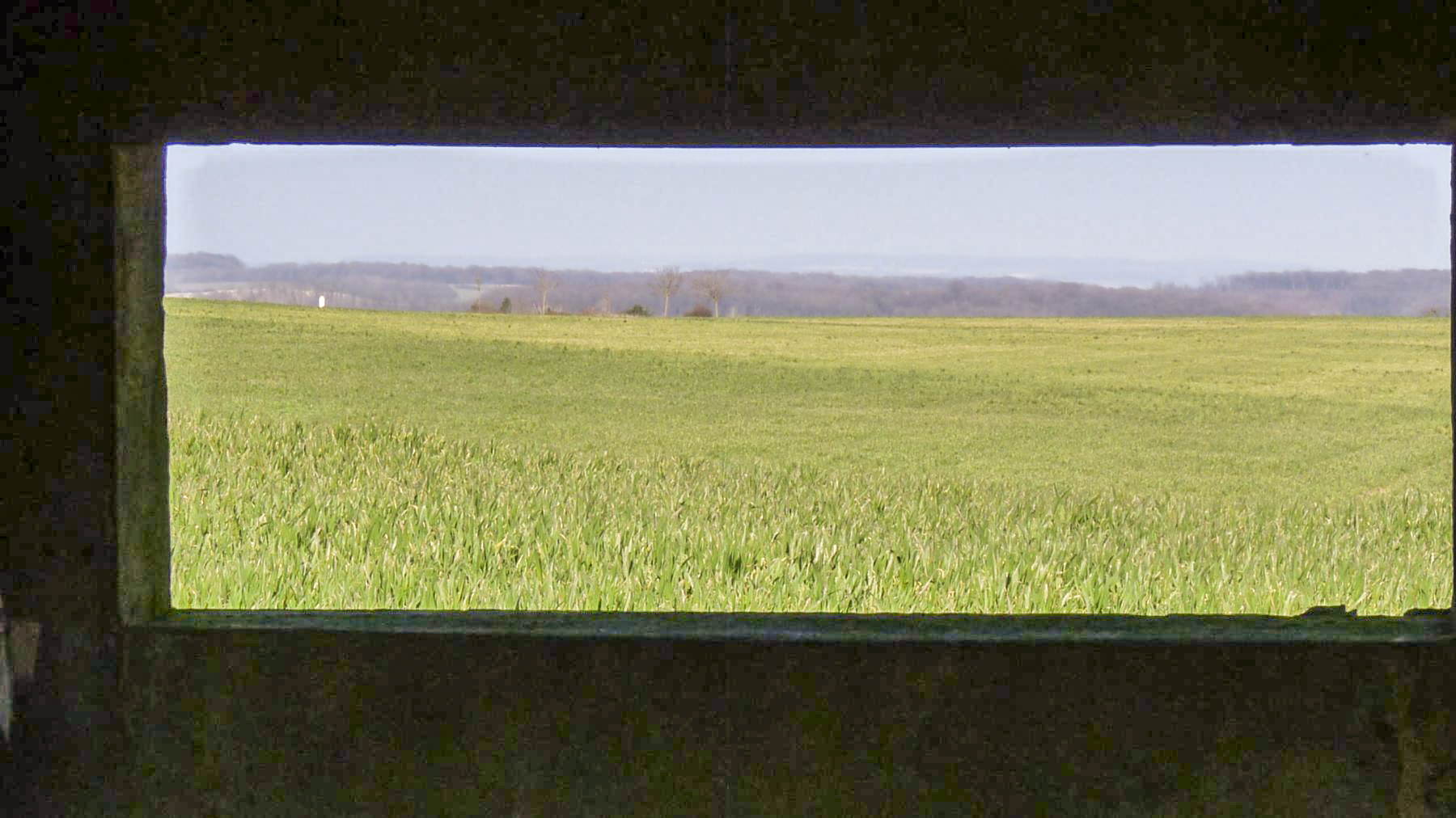 Ligne Maginot - VEILLERBERG - (Blockhaus pour canon) - Le champ de tir vu du créneau