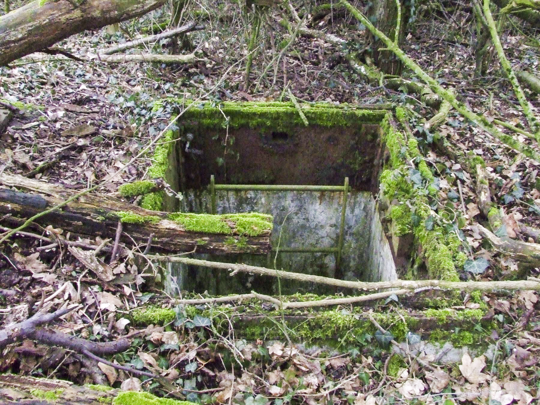 Ligne Maginot - 4A - (Chambre de coupure) - La chambre de coupure: la trappe manque et elle est inondée.