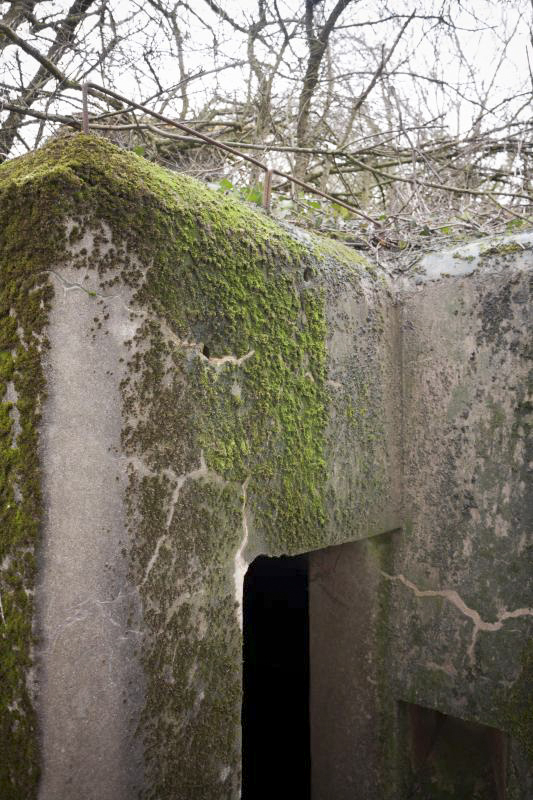 Ligne Maginot - BB2 - (Blockhaus pour canon) - Accès arrière
Détail sur armatures pour camouflage