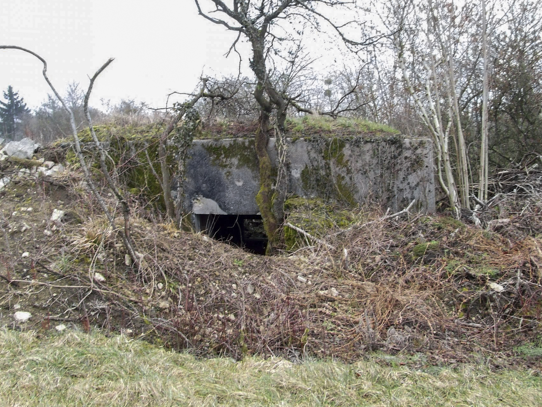 Ligne Maginot - BB27-B - VOIE FERREE - (Blockhaus pour canon) - La façade arrière.