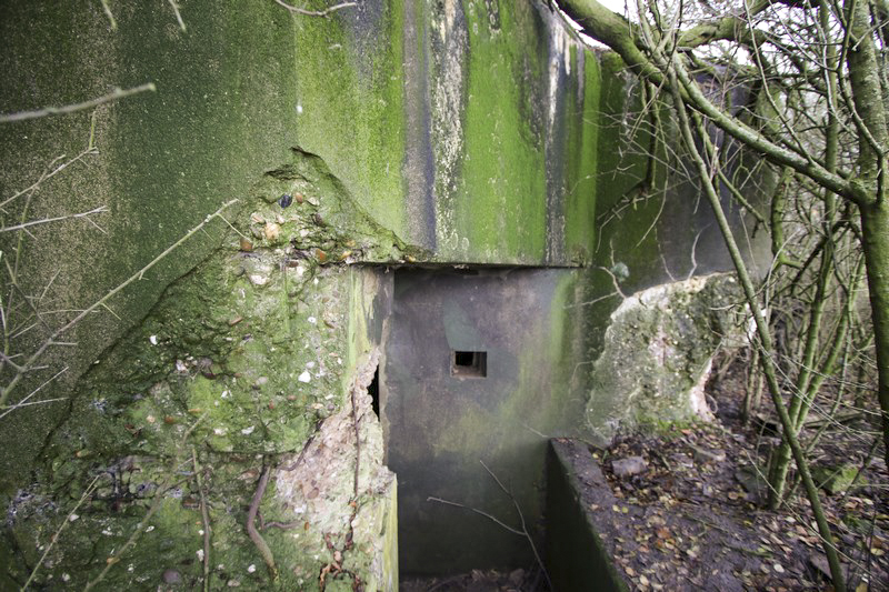Ligne Maginot - BB33 - HERRENFELD SUD - (Blockhaus pour canon) -       