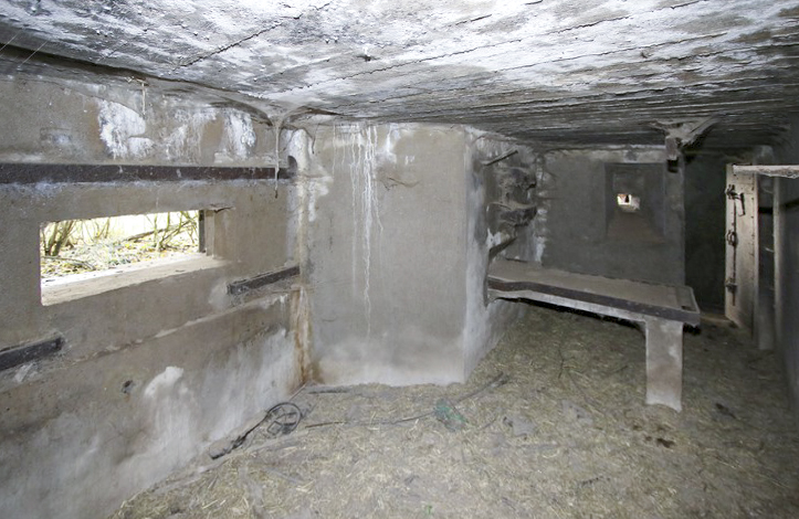 Ligne Maginot - BB33 - HERRENFELD SUD - (Blockhaus pour canon) -         