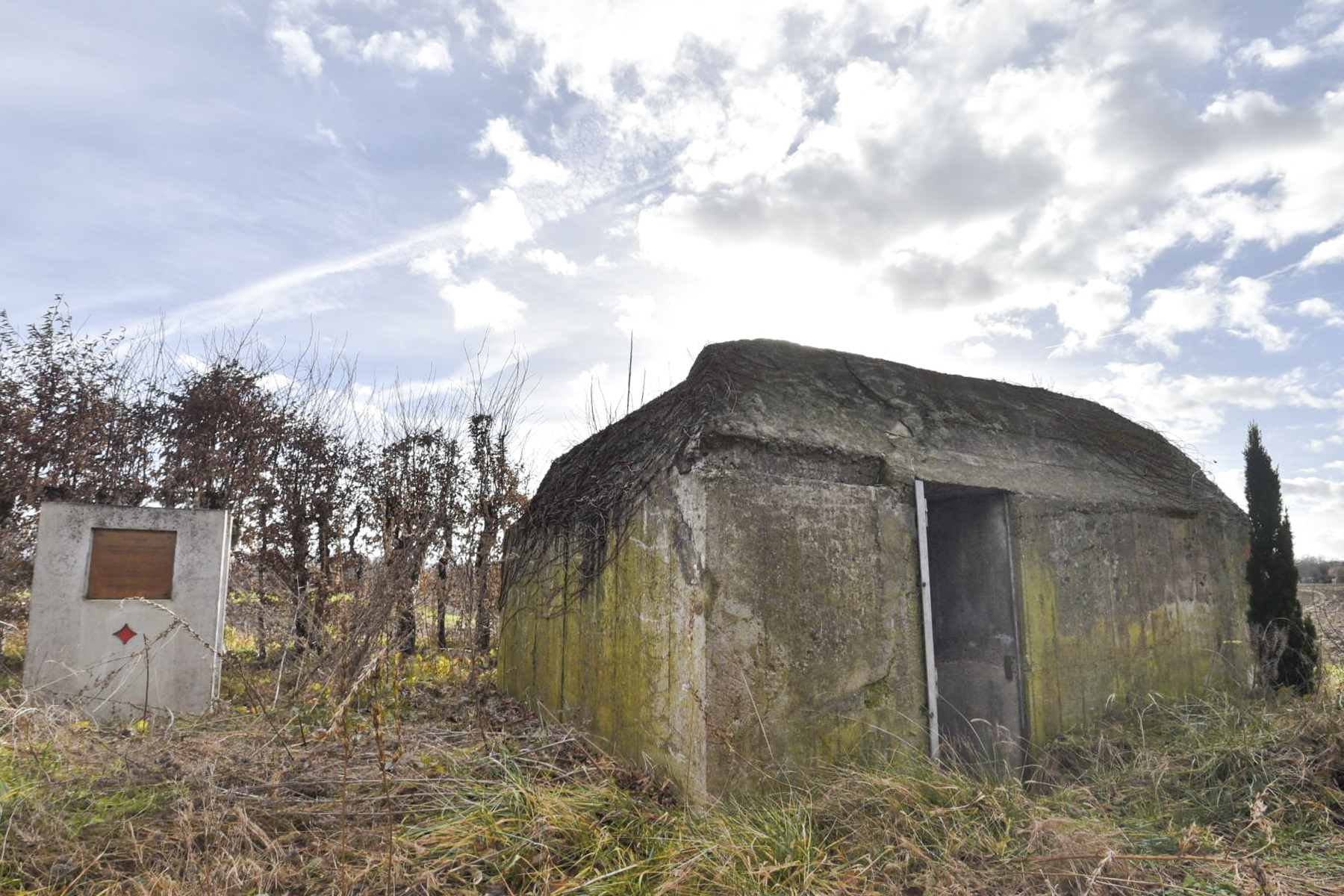 Ligne Maginot - H8 - BALTZENHEIM SUD EST - (Blockhaus pour arme infanterie) -  - Ludovic KNAPP