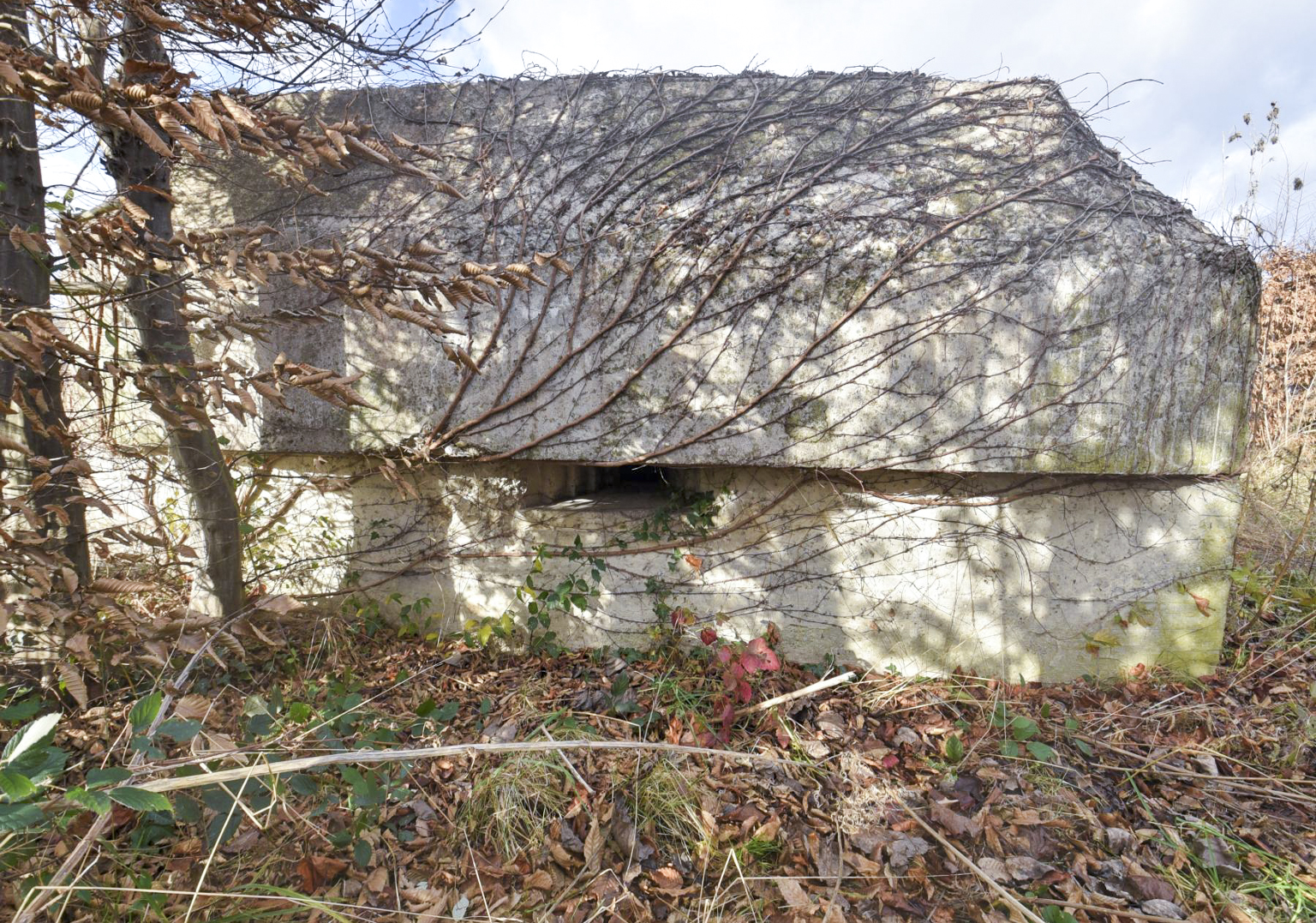Ligne Maginot - H8 - BALTZENHEIM SUD EST - (Blockhaus pour arme infanterie) -  - Ludovic KNAPP