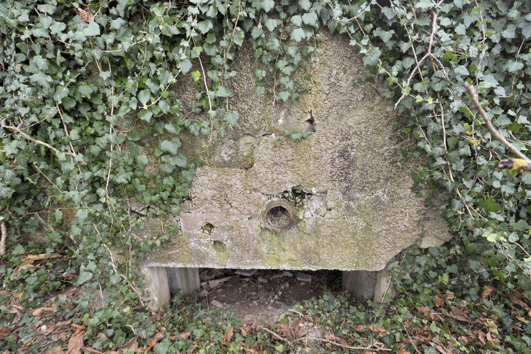 Ligne Maginot - B138 - ARTZENHEIM SUD 1 - (Blockhaus pour canon) -  - Ludovic KNAPP