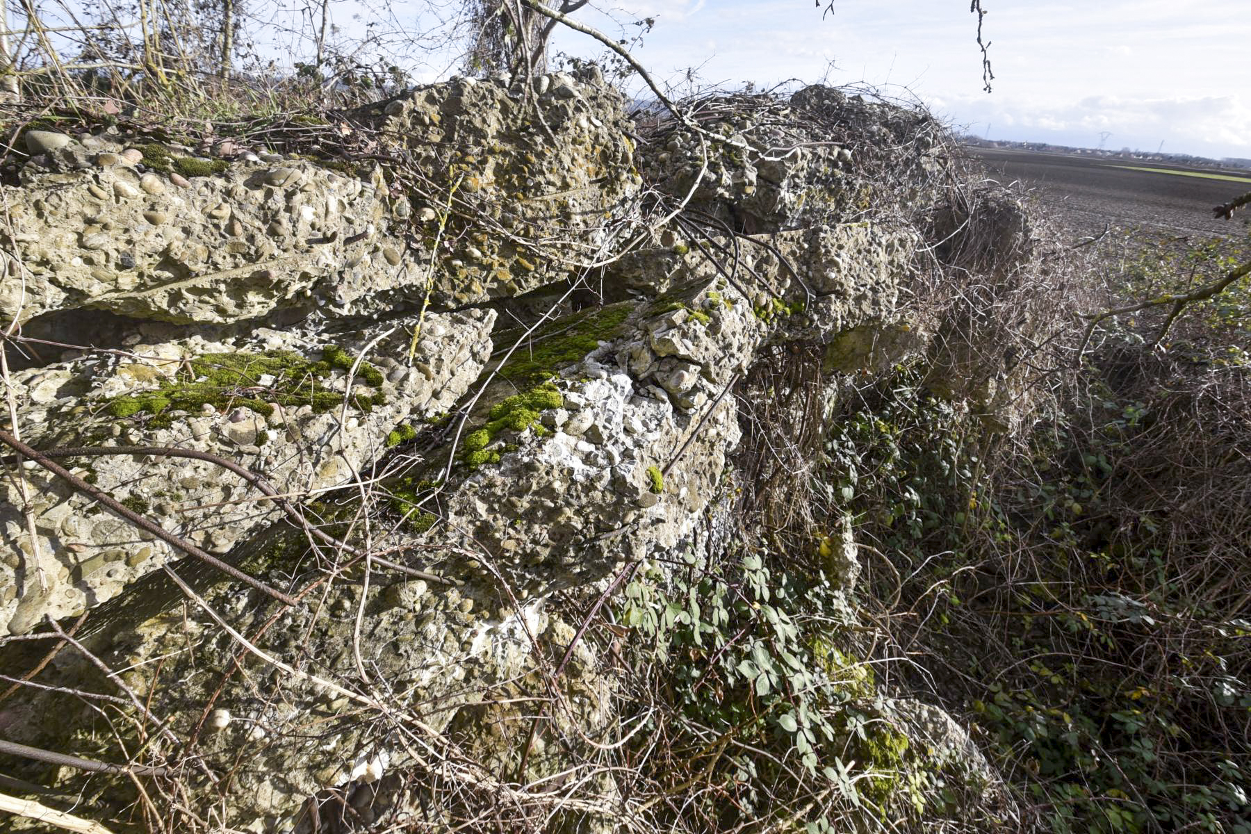 Ligne Maginot - B139 - ARTZENHEIM SUD 2 - (Blockhaus pour arme infanterie) -  - Ludovic KNAPP