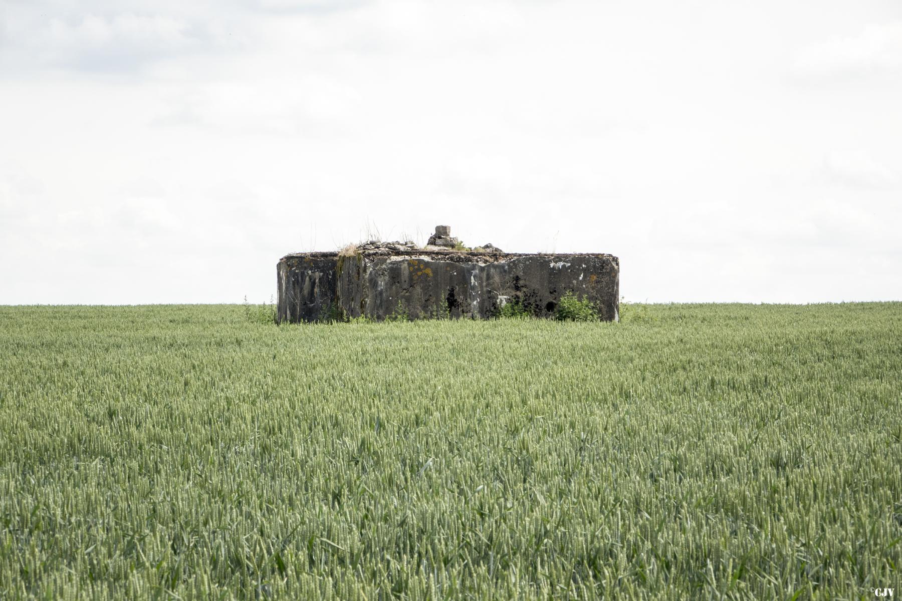 Ligne Maginot - HOCHWAELDEN Est - (Blockhaus pour canon) - 