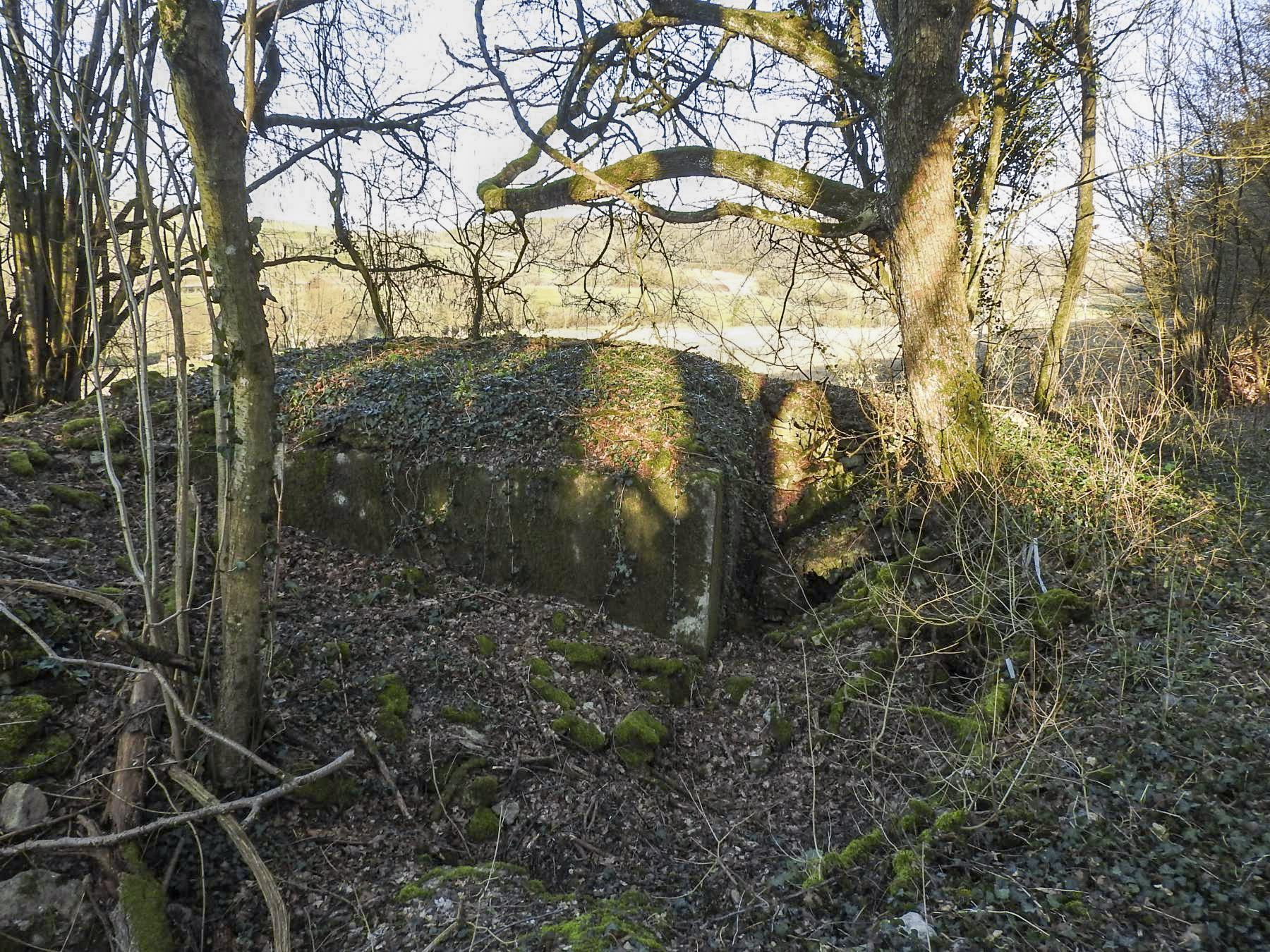 Ligne Maginot - MUEHLENBACH 1 - (Blockhaus pour arme infanterie) - Le blockhaus en lisière de forêt.
