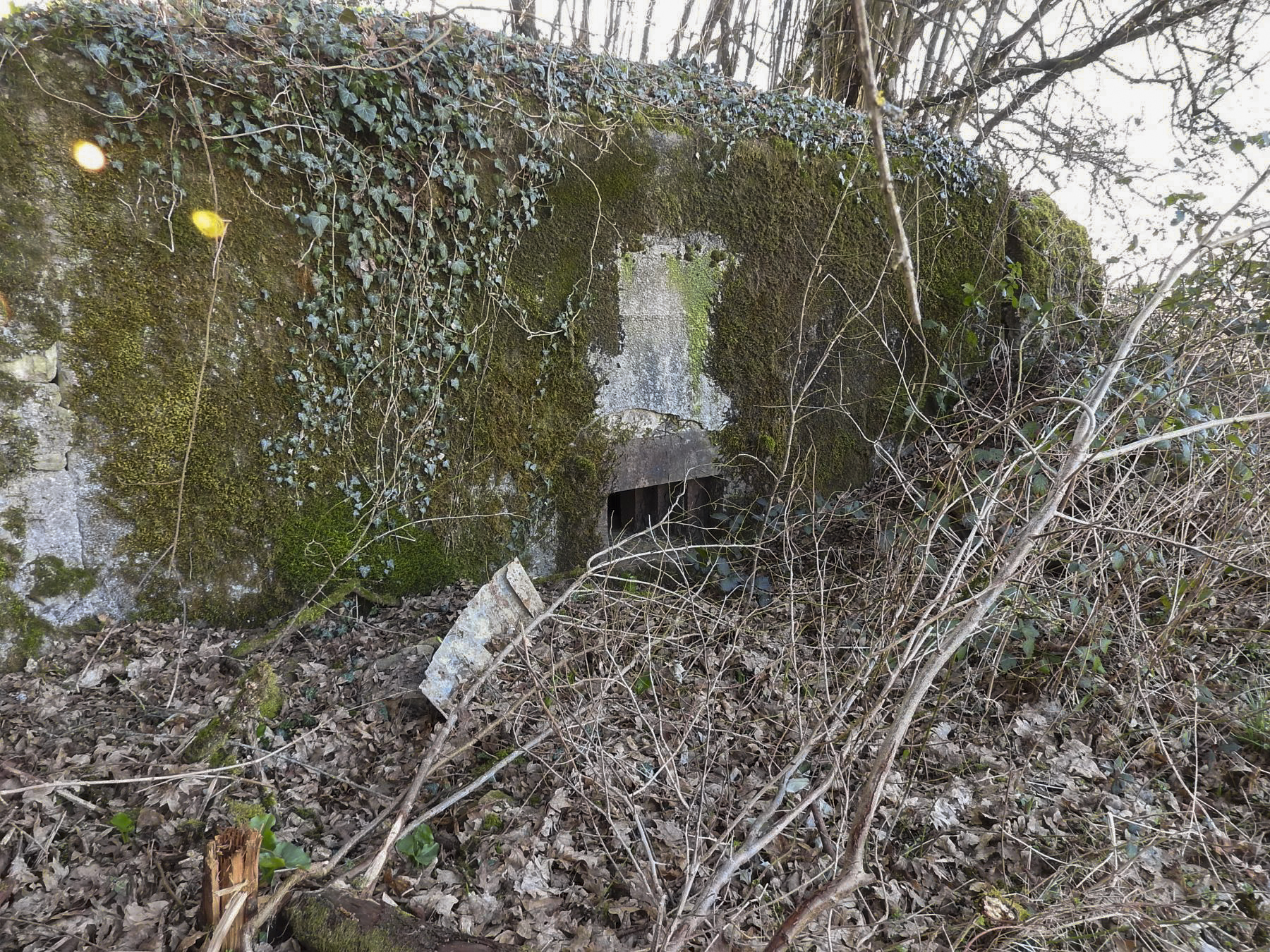 Ligne Maginot - MUEHLENBACH 1 - (Blockhaus pour arme infanterie) - La façade de tir.