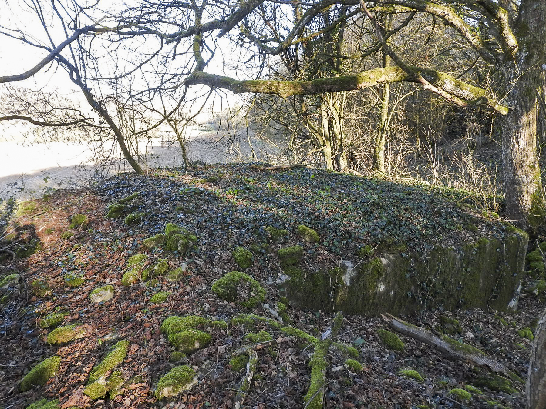 Ligne Maginot - MUEHLENBACH 1 - (Blockhaus pour arme infanterie) - 