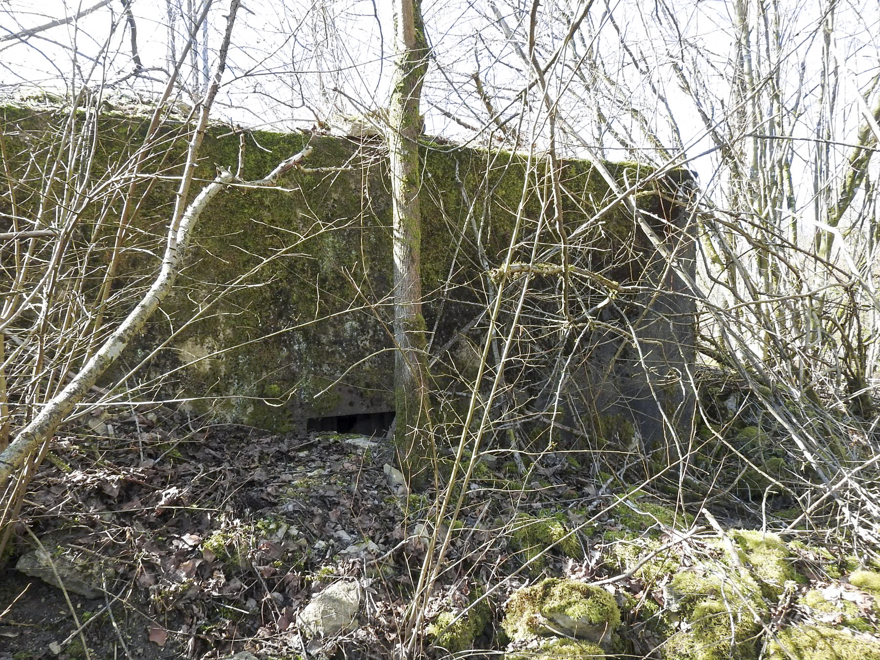 Ligne Maginot - MUEHLENBACH 2 - (Blockhaus pour arme infanterie) - La façade de tir du blockhaus.