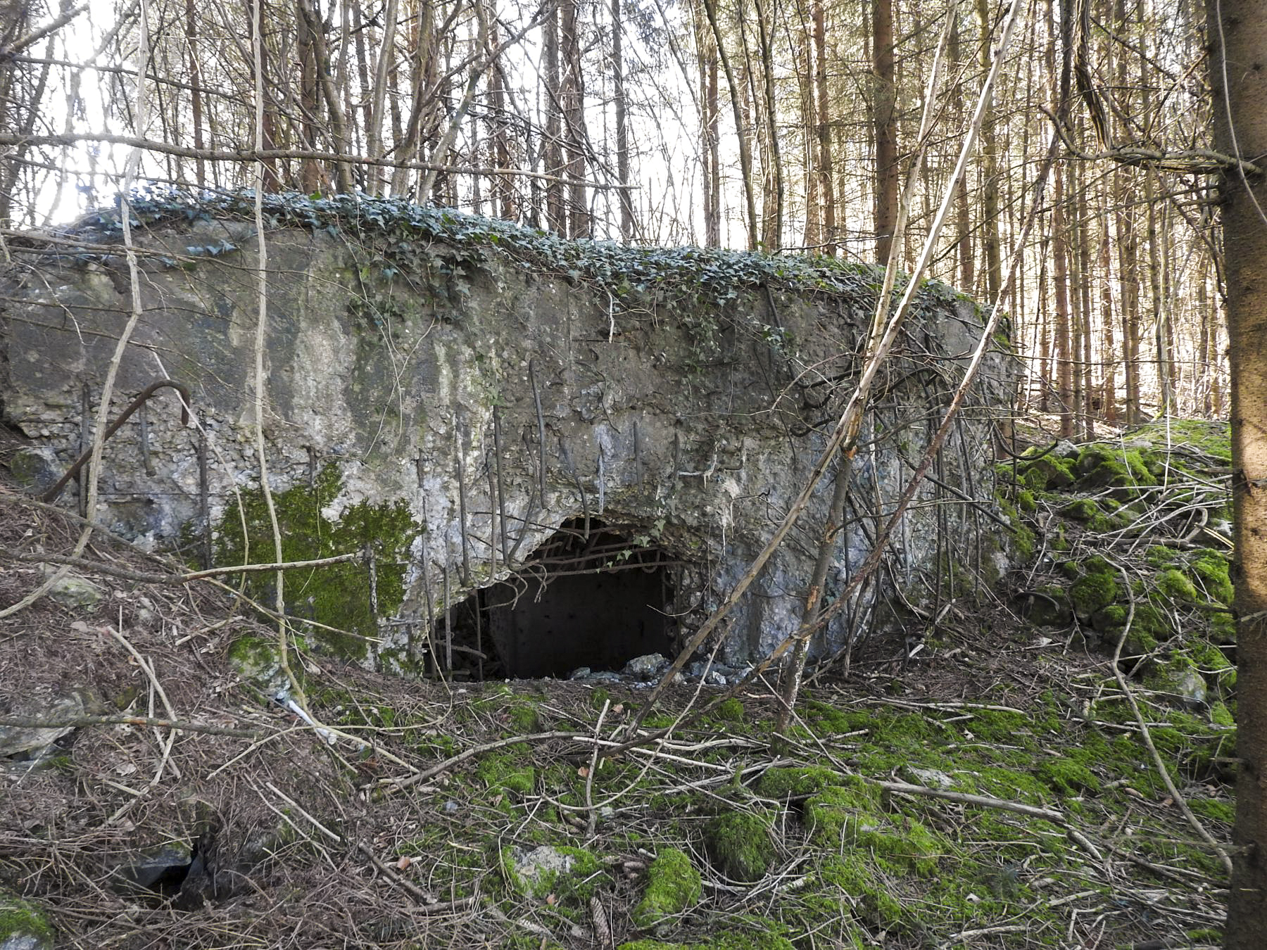 Ligne Maginot - MUEHLENBACH 4 - (Blockhaus pour canon) - La façade de tir.