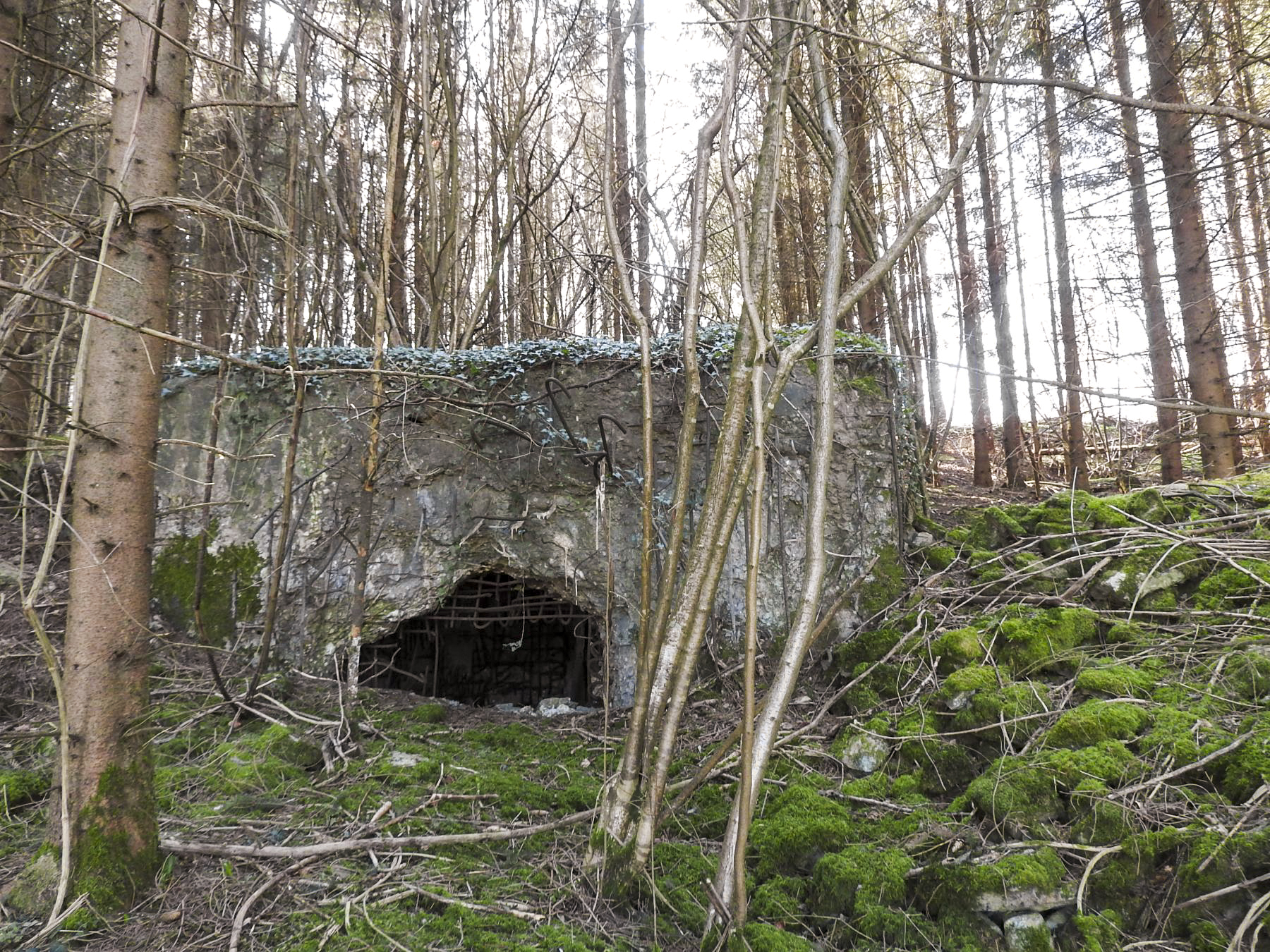Ligne Maginot - MUEHLENBACH 4 - (Blockhaus pour canon) - La façade de tir.